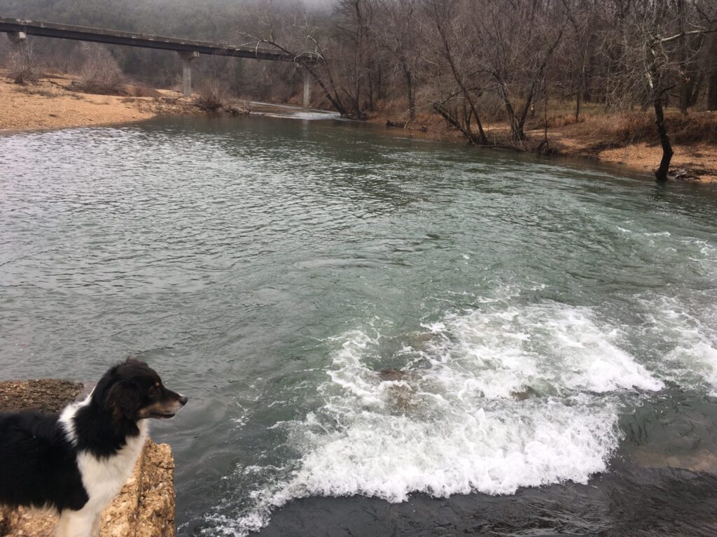 Trigger Gap Outfitters