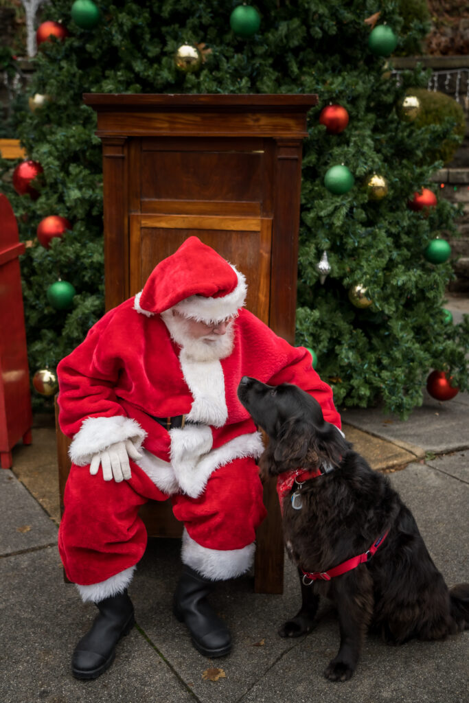 Christmas in Eureka Springs 7 PACcapcSanta 1031